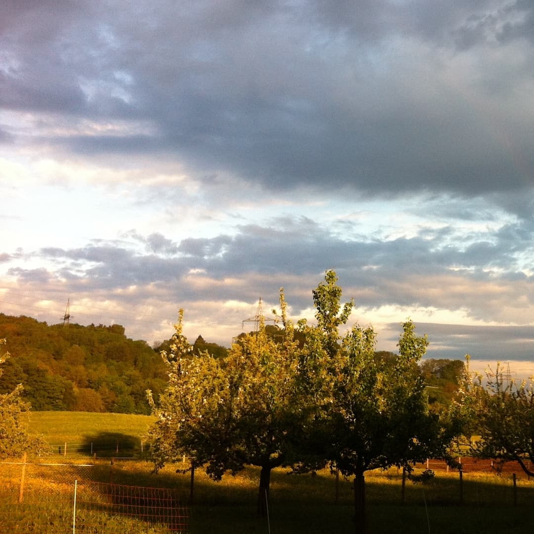 Wiese mit Blick Richtung Stuttgart